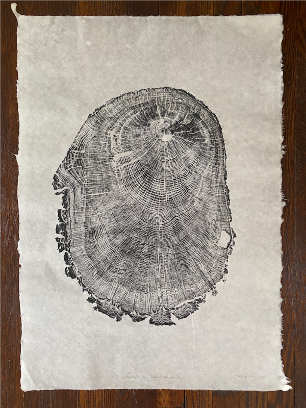 Woodblock ink print of Moses Cleaveland Tree