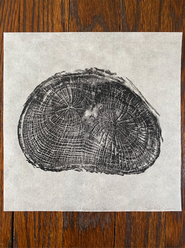 Woodblock ink print of Grand Abby Oak